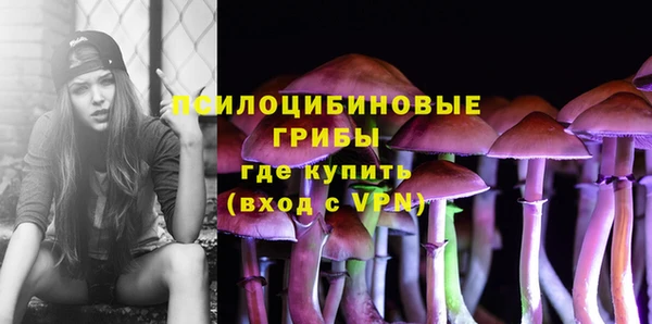 PSILOCYBIN Вяземский