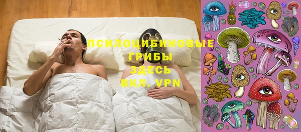 ГАЛЛЮЦИНОГЕННЫЕ ГРИБЫ Алексеевка