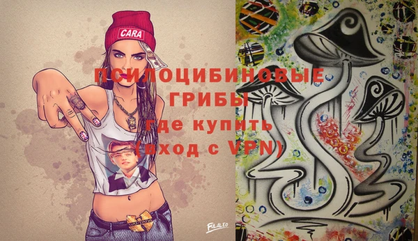 ГАЛЛЮЦИНОГЕННЫЕ ГРИБЫ Алексеевка