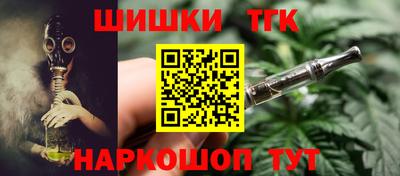 apvp Кингисепп
