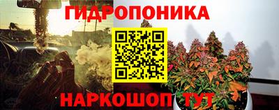 apvp Кингисепп