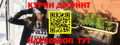 apvp Кингисепп