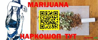 apvp Кингисепп