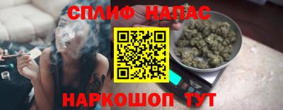 apvp Кингисепп