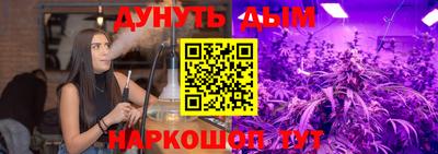 apvp Кингисепп