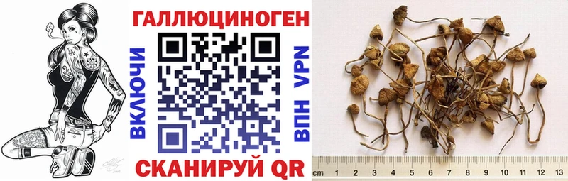 Галлюциногенные грибы MAGIC MUSHROOMS  купить наркотики цена  дарк нет формула  Красногорск 